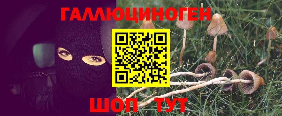 Псилоцибиновые грибы мухоморы Курган